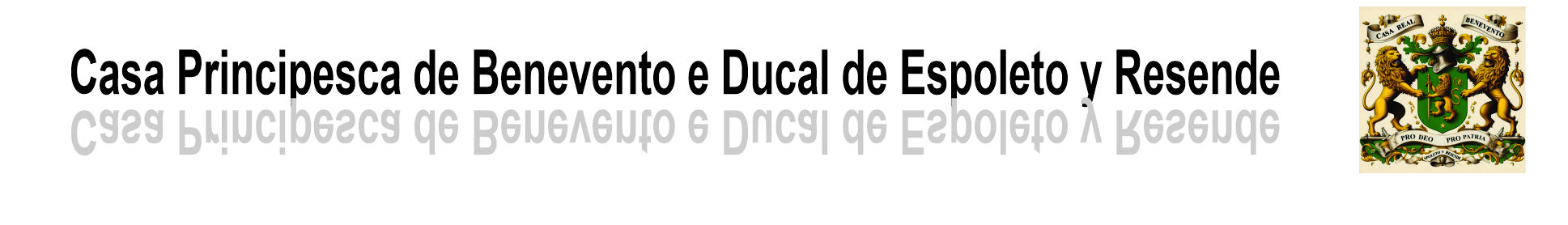 Google search engine